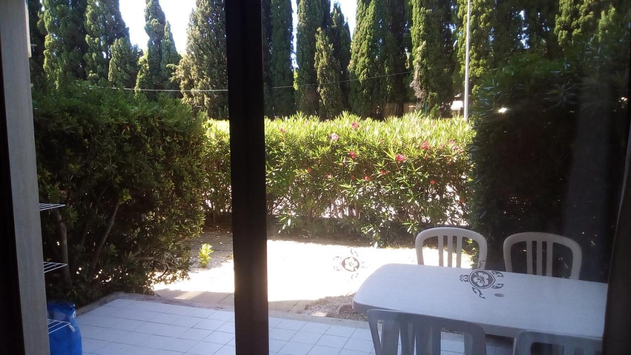 Studio De 27 M² + 70 M² De Jardin A 100 M Des Plages Кавалере-сюр-Мер Екстериор снимка